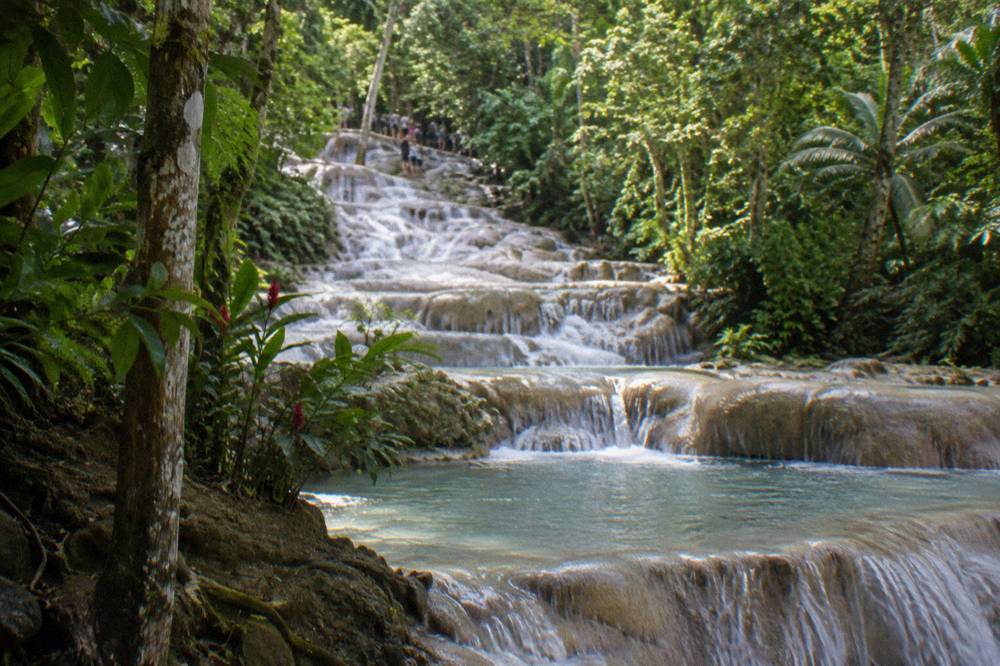 Cascading waterfall steps flowing between lush green trees at Dunn's River Falls park